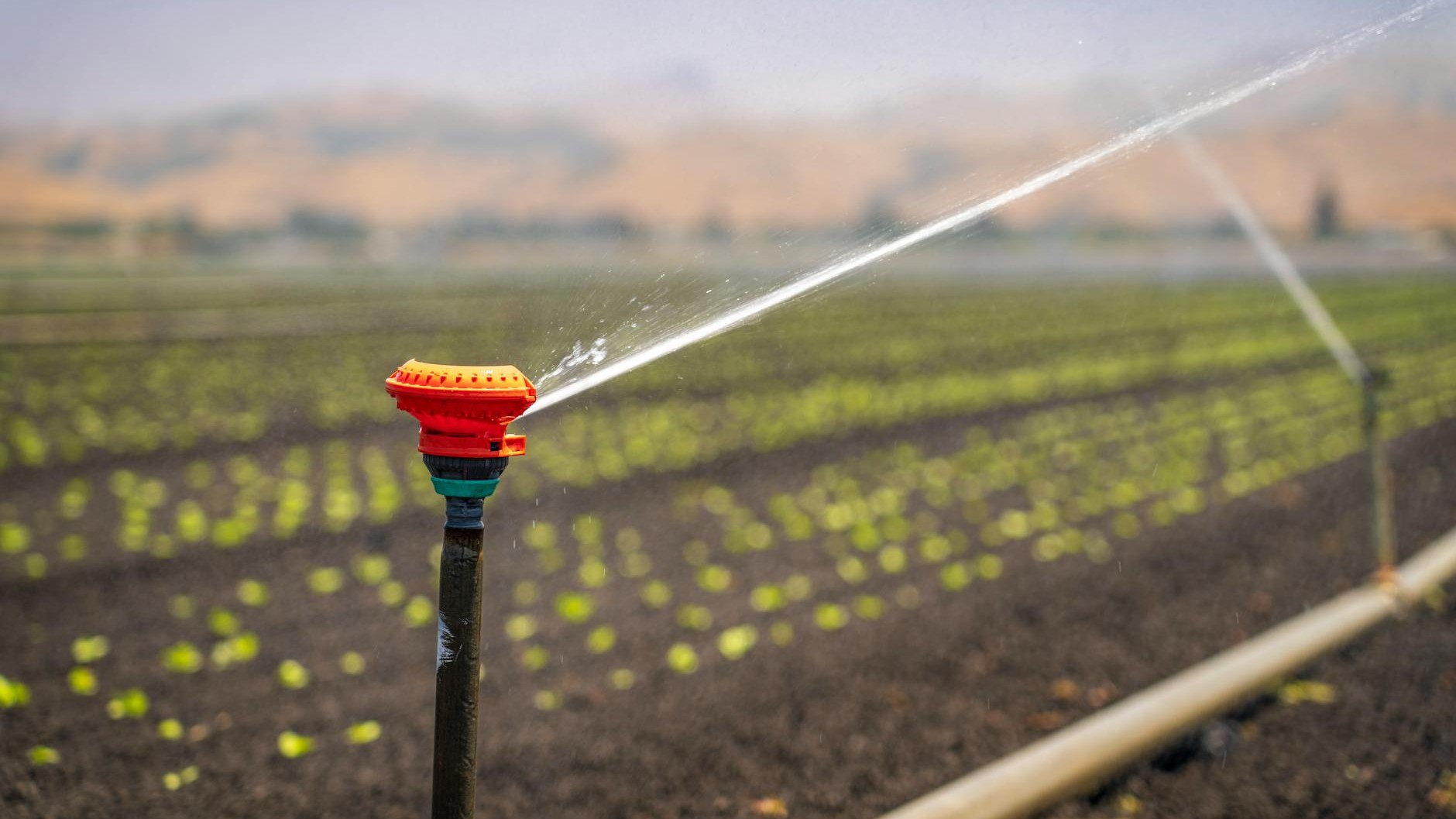 Ce capteur connecté promet d'économiser l'eau au jardin, mais un détail de placement ruine tout le système