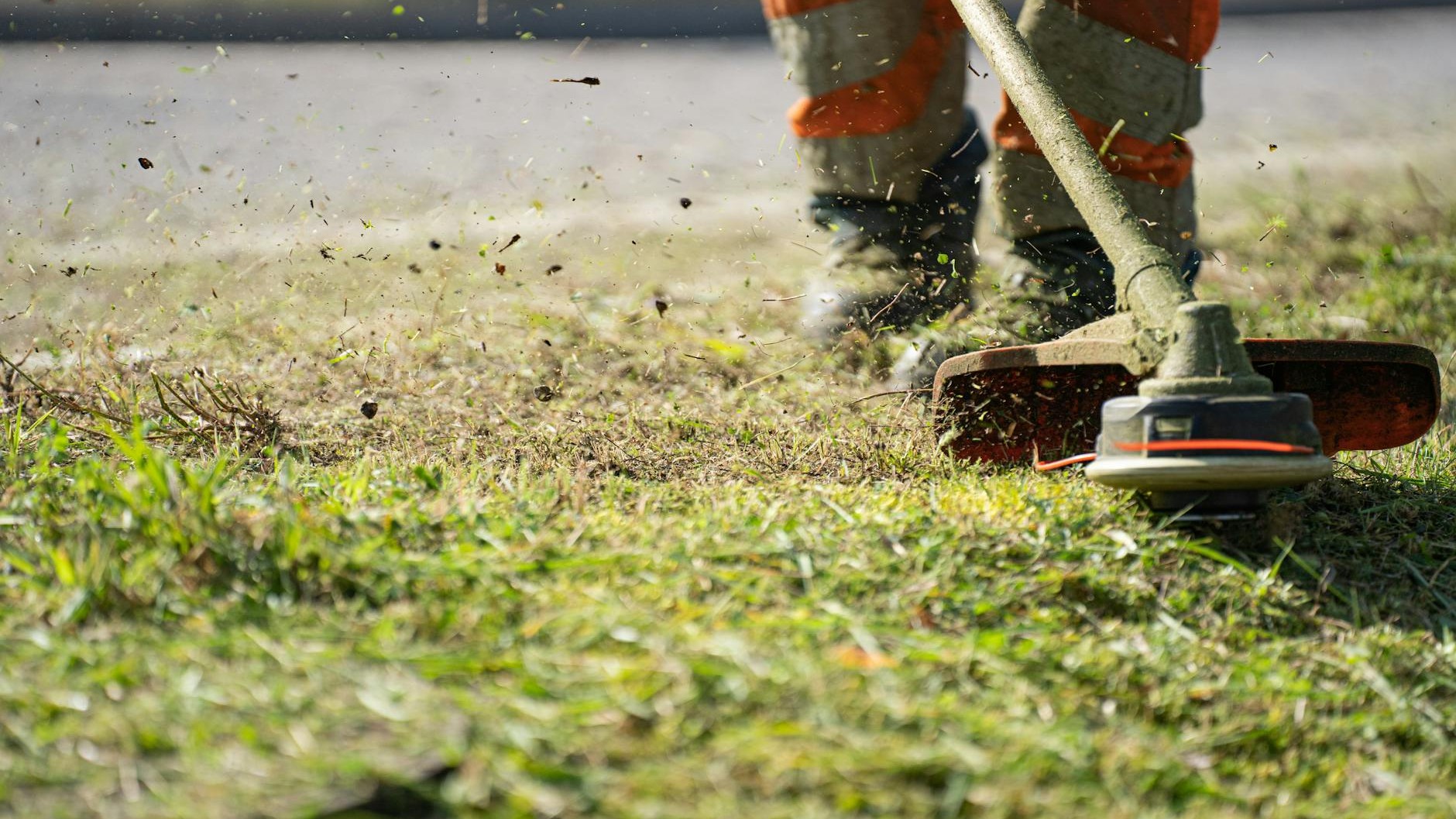 Scarificateur : comment choisir et utiliser cet outil pour un gazon impeccable