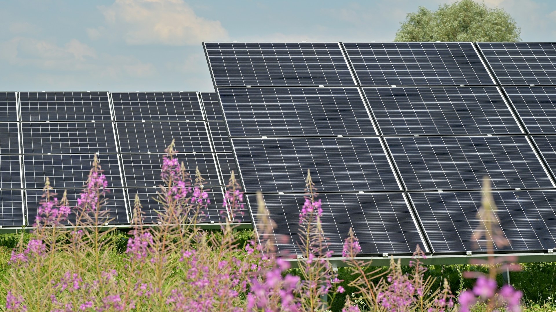 J'ai posé une clôture solaire juste pour délimiter mon terrain : quand j'ai ouvert ma première facture d'électricité, j'ai...