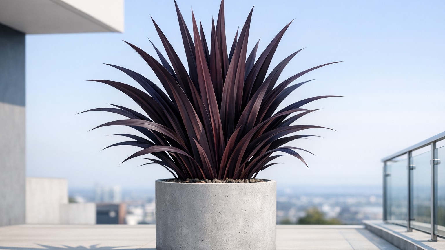 Plus personne ne pose d'olivier en pot sur sa terrasse : en 2026, les paysagistes le remplacent tous par cette plante