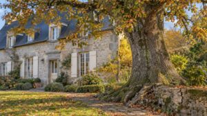 Arbre déjà planté trop près de la maison : abattre, couper ou protéger ?