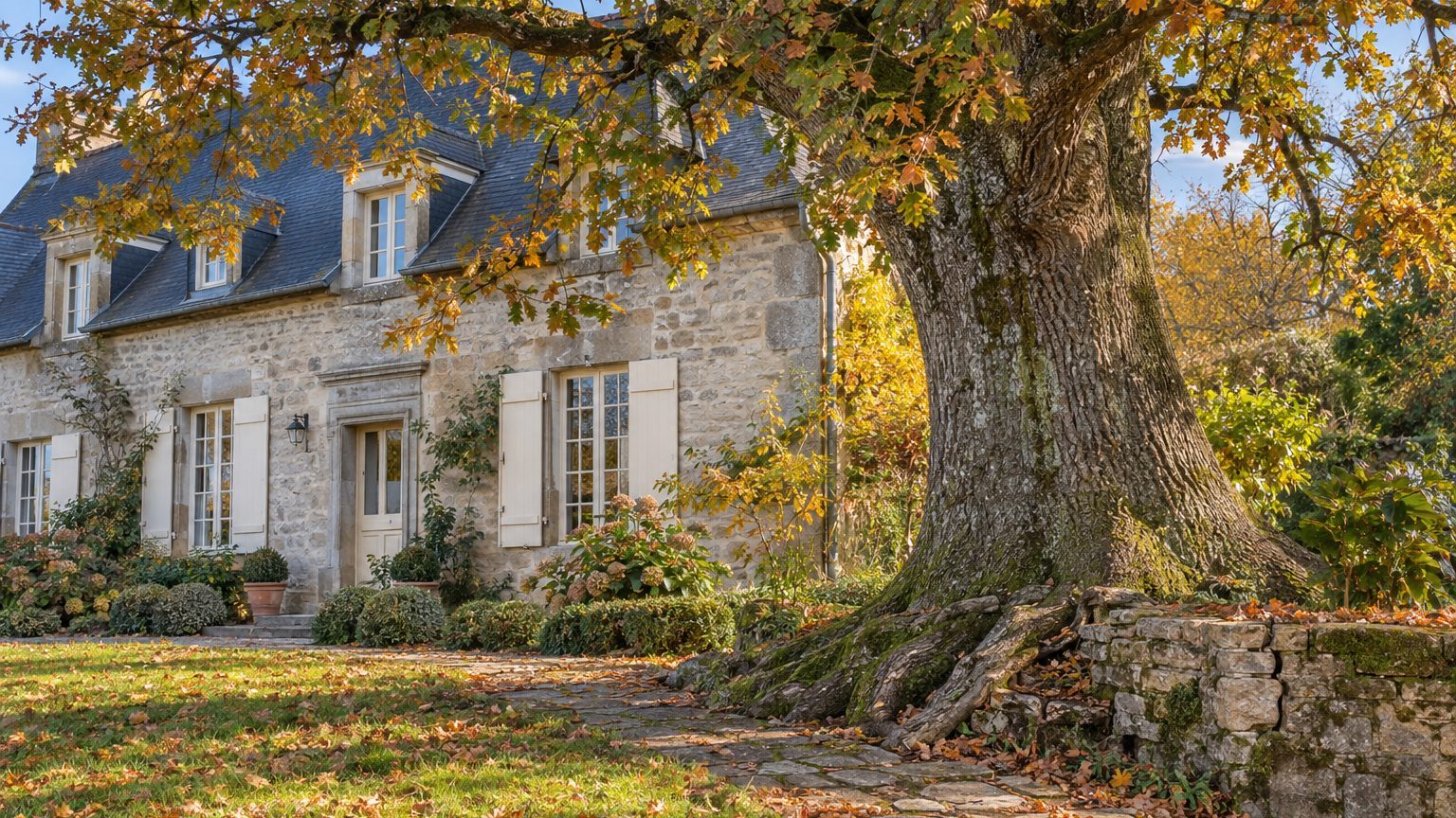 Arbre déjà planté trop près de la maison : abattre, couper ou protéger ?