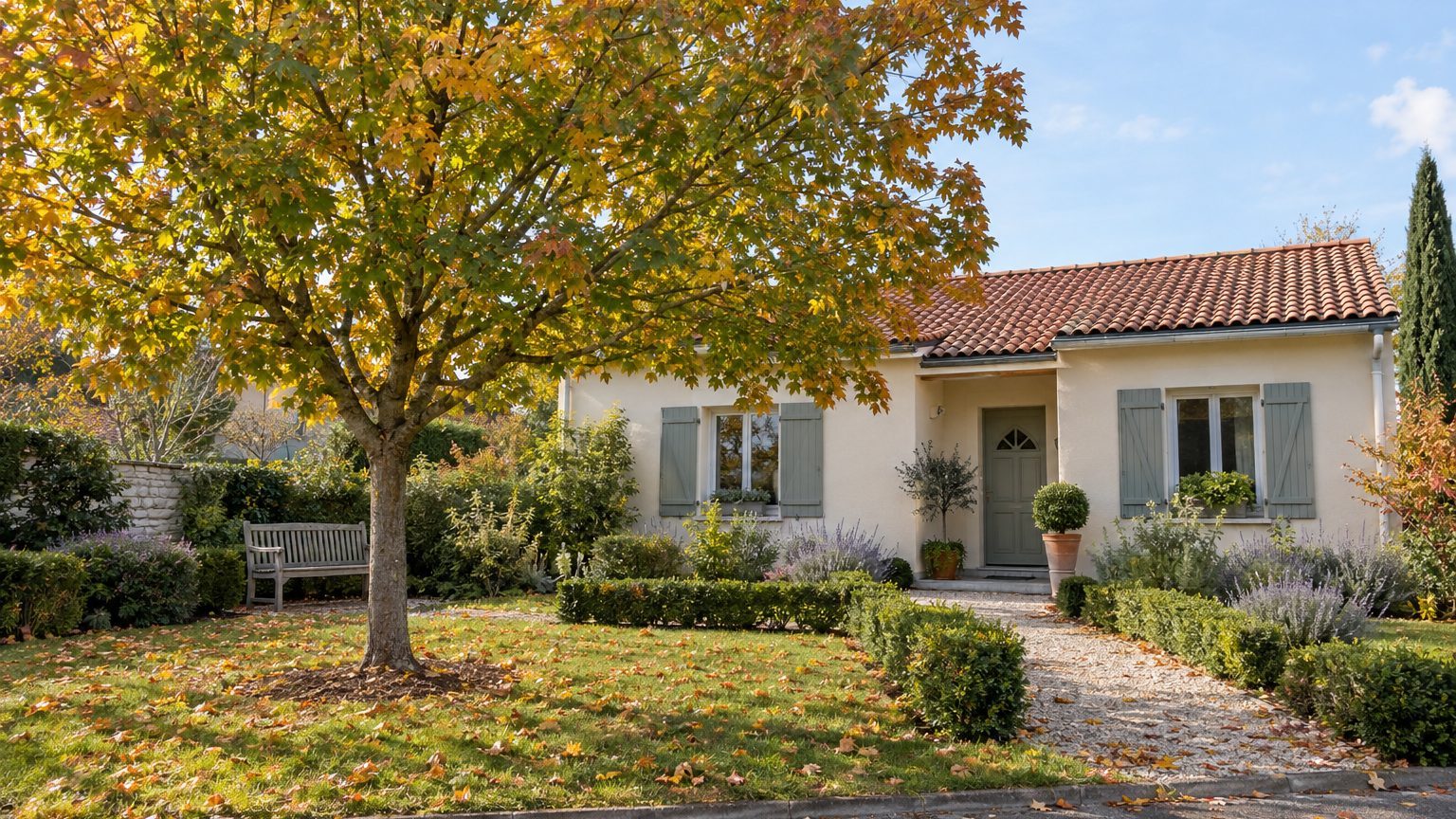 Devant la maison pour l'ombre : quel arbre sans racines envahissantes choisir ?