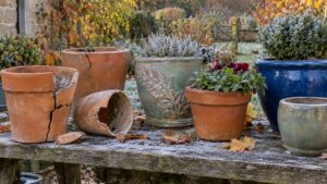 Pots en terre cuite et céramique : lesquels résistent au gel ?